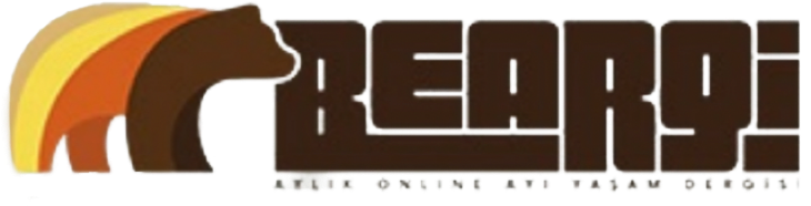 Beargi Magazine Logo